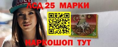 гашик Нальчик