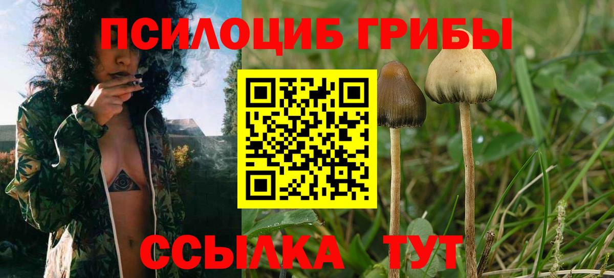 Псилоцибиновые грибы MAGIC MUSHROOMS Усолье-Сибирское
