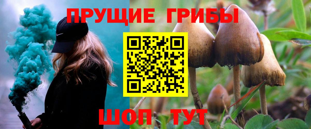 наркота  Галлюциногенные грибы мухоморы  Галлюциногенные грибы ЛСД  Вход с VPN  Усолье-Сибирское 